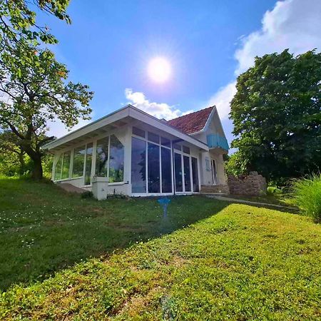 Honey Hill Apartment Fruska Gora Cerevic Eksteriør bilde
