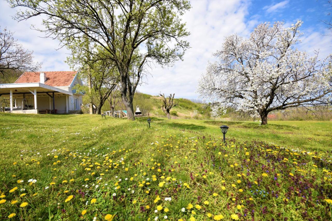 Honey Hill Apartment Fruska Gora Cerevic Eksteriør bilde