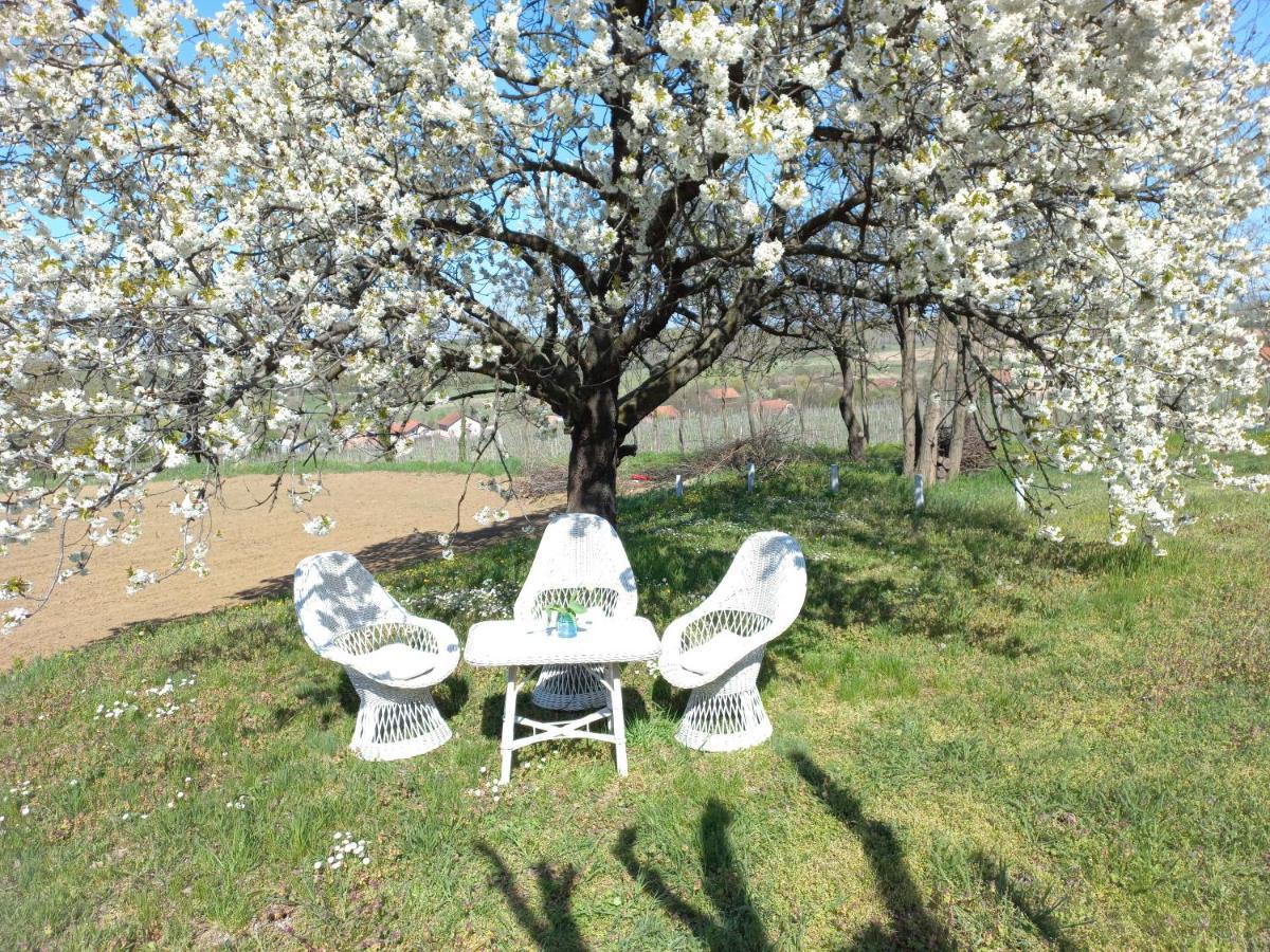 Honey Hill Apartment Fruska Gora Cerevic Eksteriør bilde